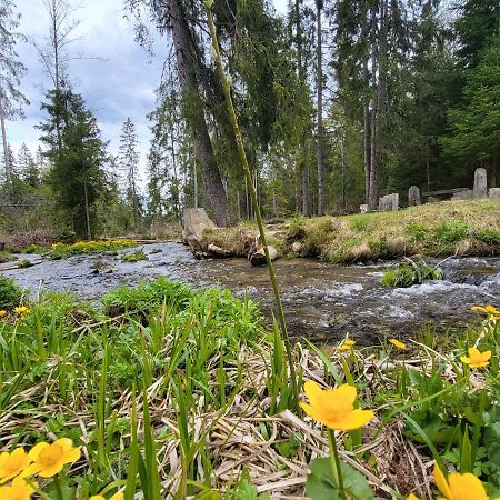 Apartment In Tatranska Strba/Near Strbske Pleso With Free Parking Экстерьер фото